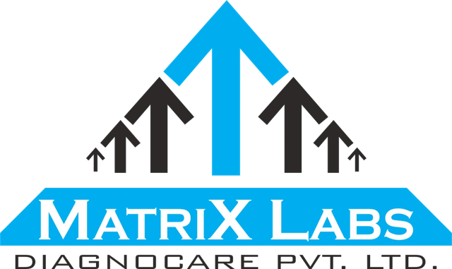 Matrix Labs logo